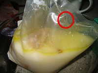 08.jpg