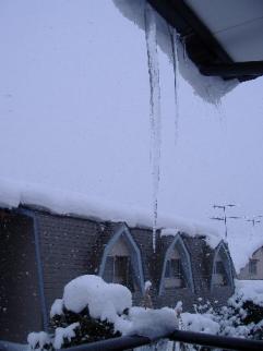 氷柱（銀柱）　５