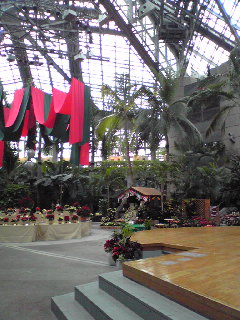 咲くやこの花館１