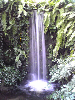 咲くやこの花館３