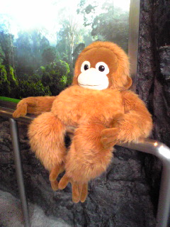 咲くやこの花館５