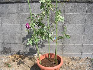112_1248m.JPG