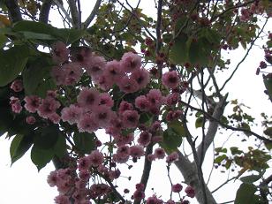 111_1124f.JPG
