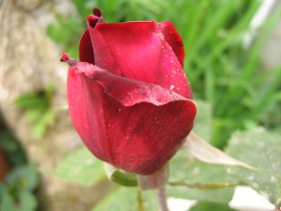 112_1266b.JPG