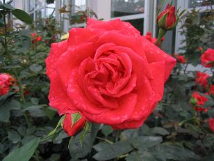 116_1654e.JPG