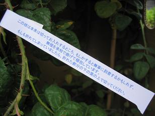 タグ.JPG