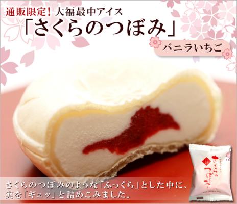 さくらのつぼみ１