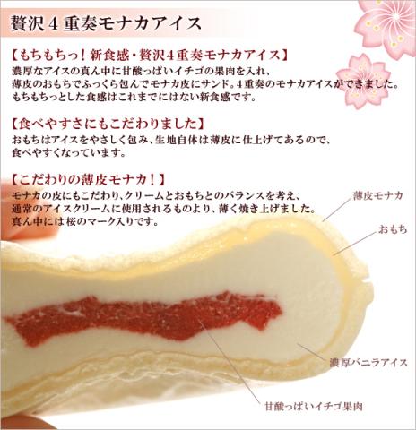 さくらのつぼみ１