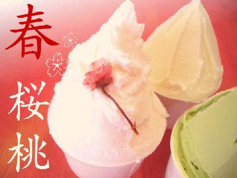 サクラジェラート１