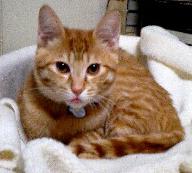 男前なアイン☆