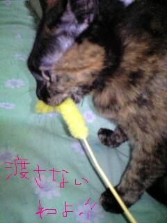 なの「渡さないわよ！」