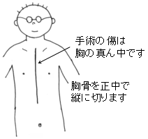 説明胸