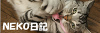 nekonikki02