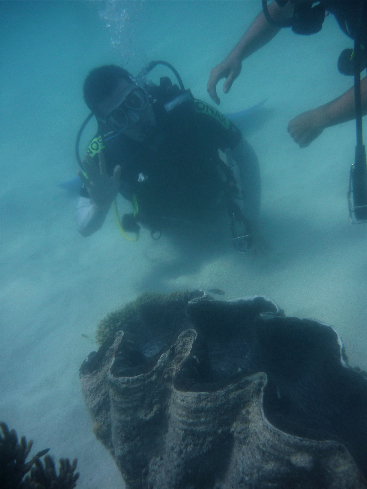 ローランドさん大シャコ貝
