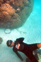 ジャックバブル