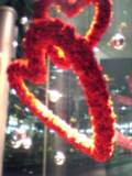07-01-13St.V-2.jpg