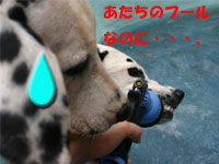 0625b.jpg