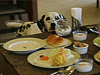 0906a.gif