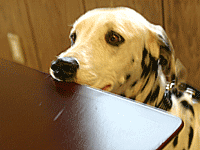 0906b.gif