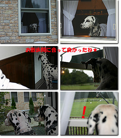0906e.jpg