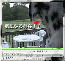 09061.gif