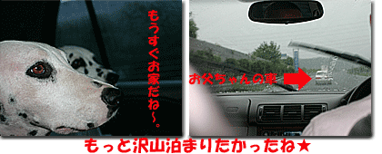 0906x.gif