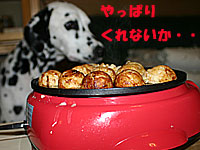 0613f.jpg