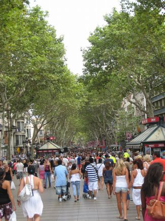 13-8-2010 024.jpg