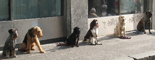 IMG_3258.JPG