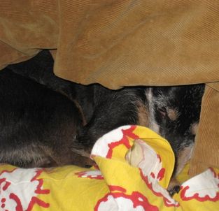 18-6-2010 0031.jpg
