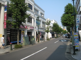 大倉山エルム通り