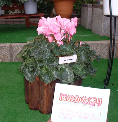 07-12-24 008.jpg