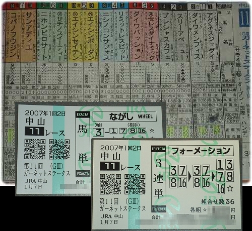 h19.01.07 ｶﾞｰﾈｯﾄｽﾃｰｸｽ