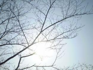 ん～、太陽が眩しい！