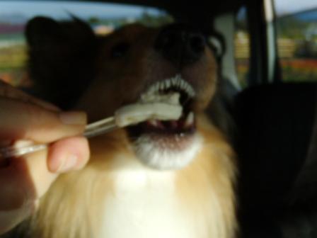 200905スティーブ