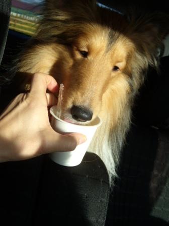 200905スティーブ2