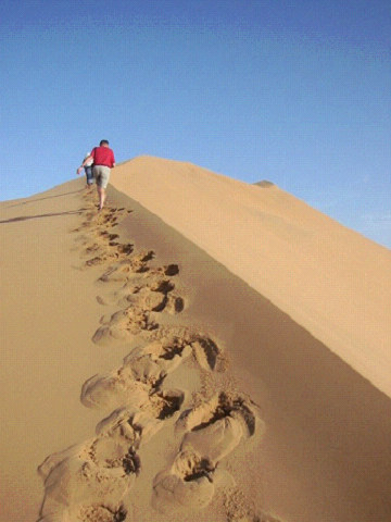 Namib Desert