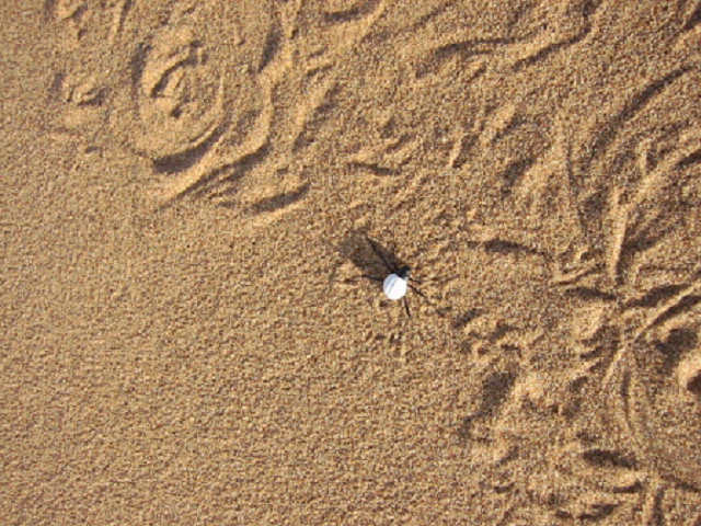 Namib Desert