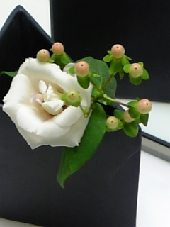 071204トイレのお花