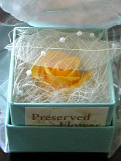 080126バースデープレゼント2