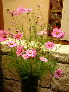 071029嵯峨沢館　お花2