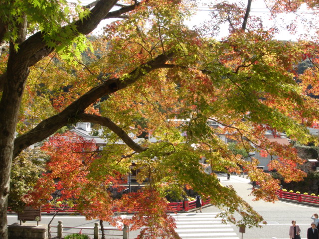 071029修繕寺　紅葉