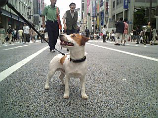 銀座.jpg