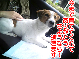 吐きそう２.jpg