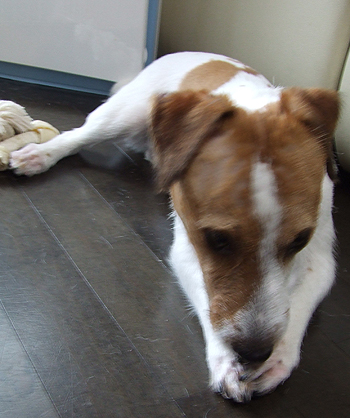 DSCF0880.jpg