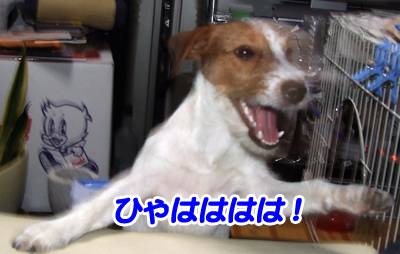 ひゃははは.jpg