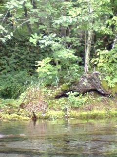 光っていた場所２