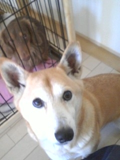 ママ、落ち着いて