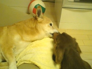 早く元気になあれ