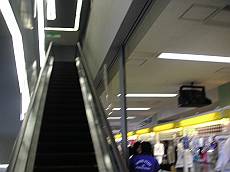 DiMAGE Xg 1761-s.jpg